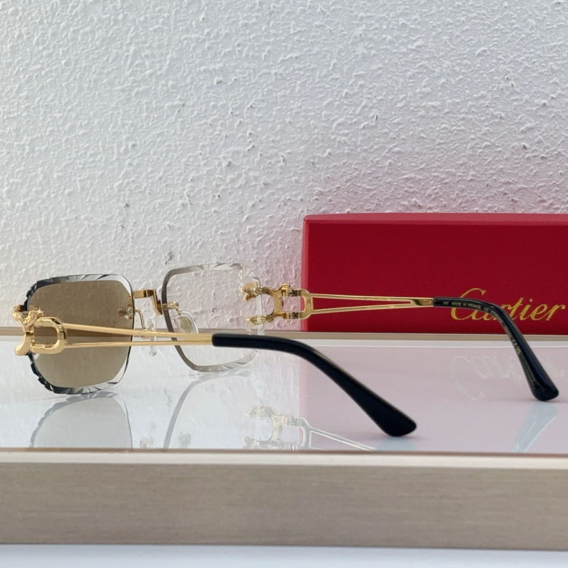 Cartier CT0540S Sunglasses - 