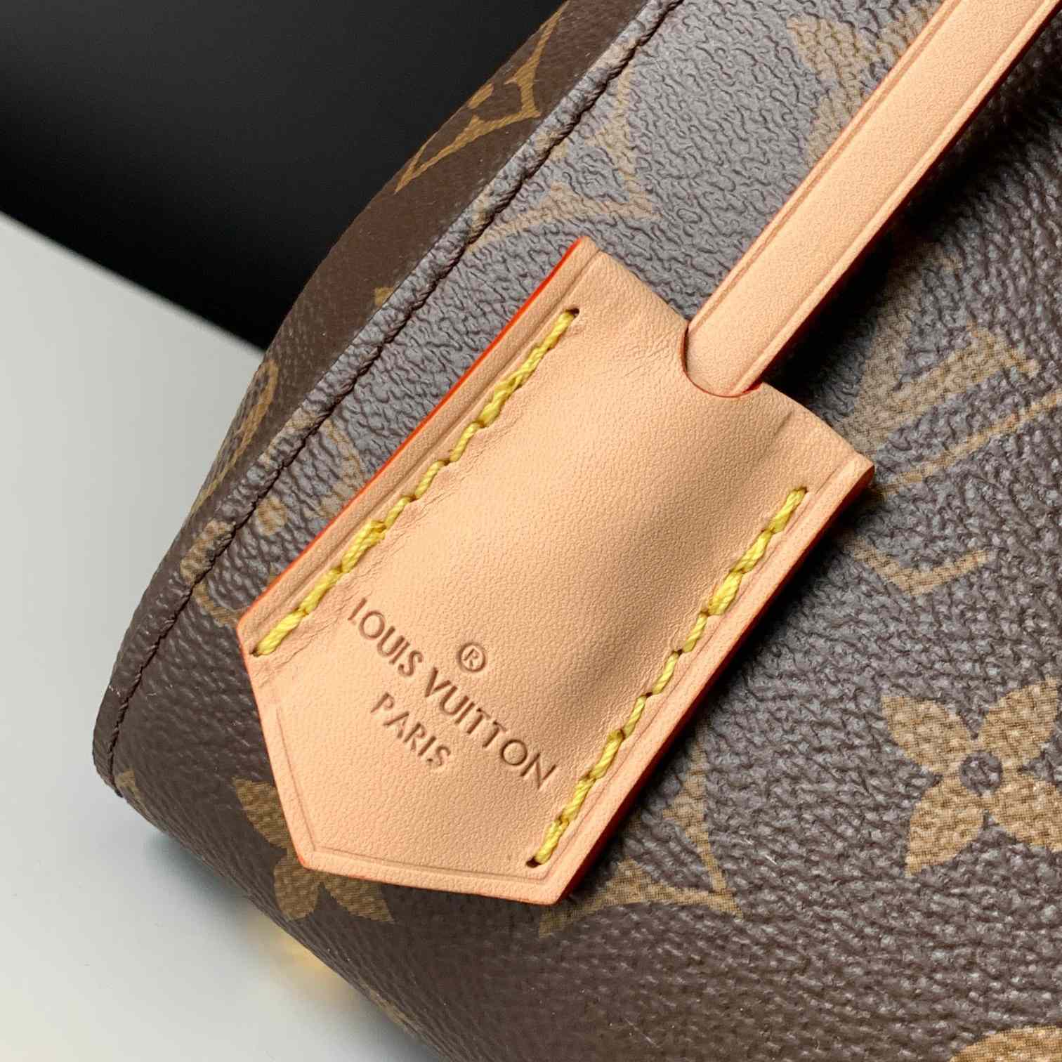 Louis Vuitton Cluny BB  M46372 - 