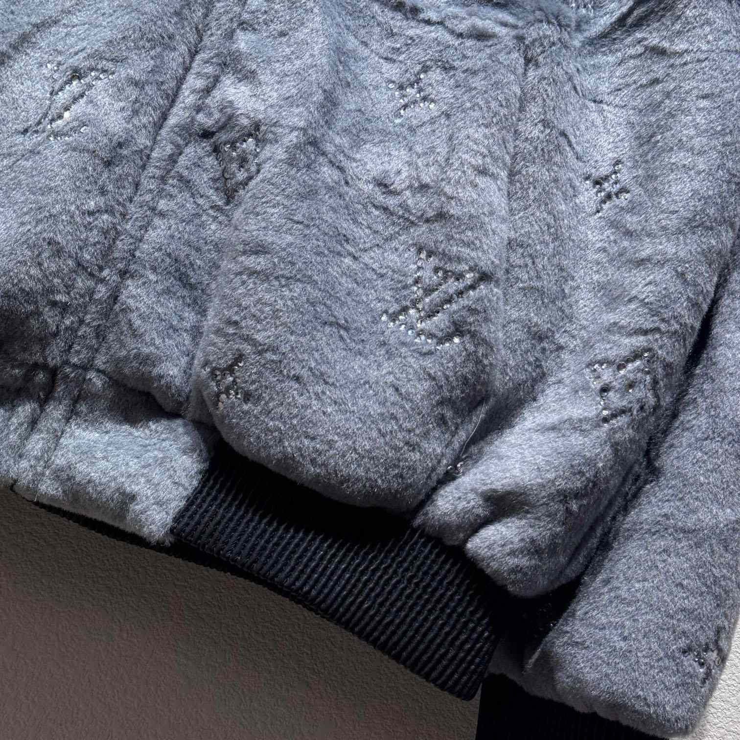 Louis Vuitton MNG Embellished Shearling Hoodie - 