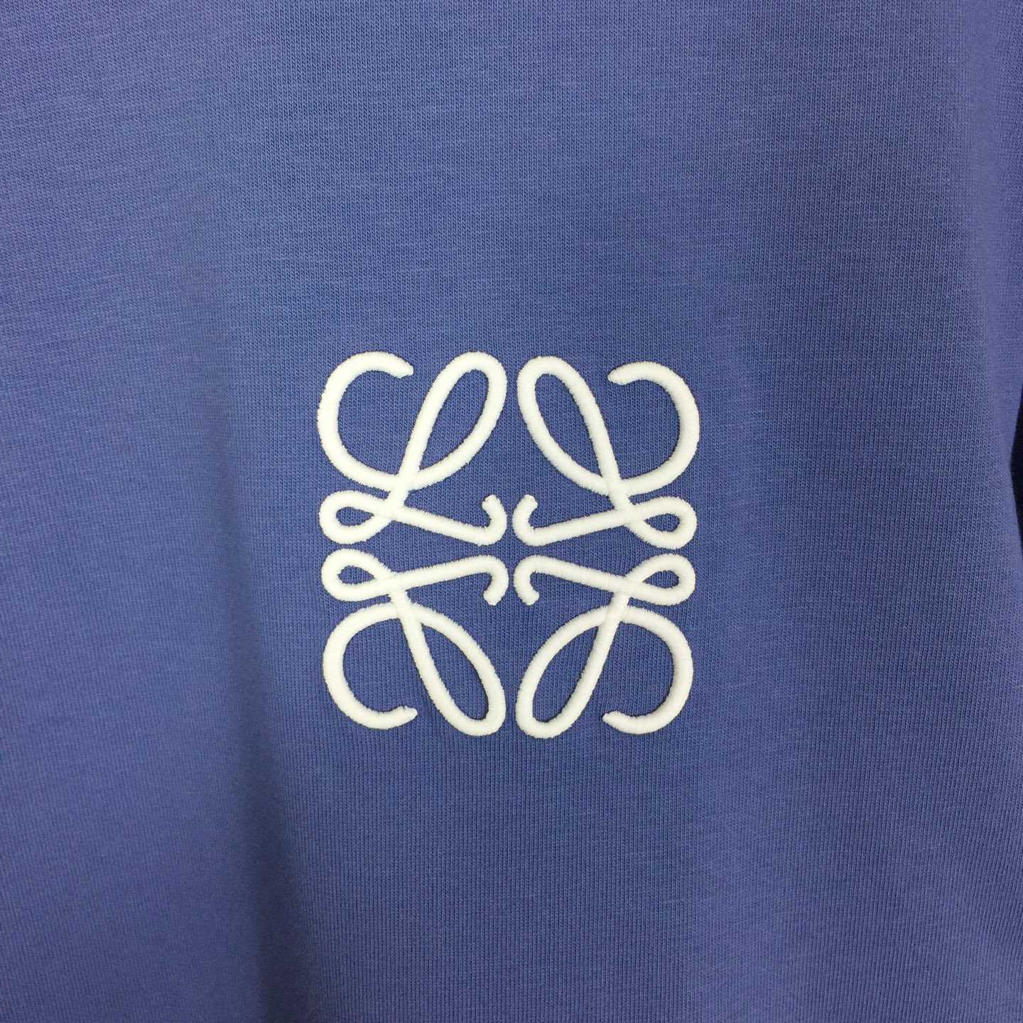 Loewe Loose Fit T-shirt In Cotton - DesignerGu
