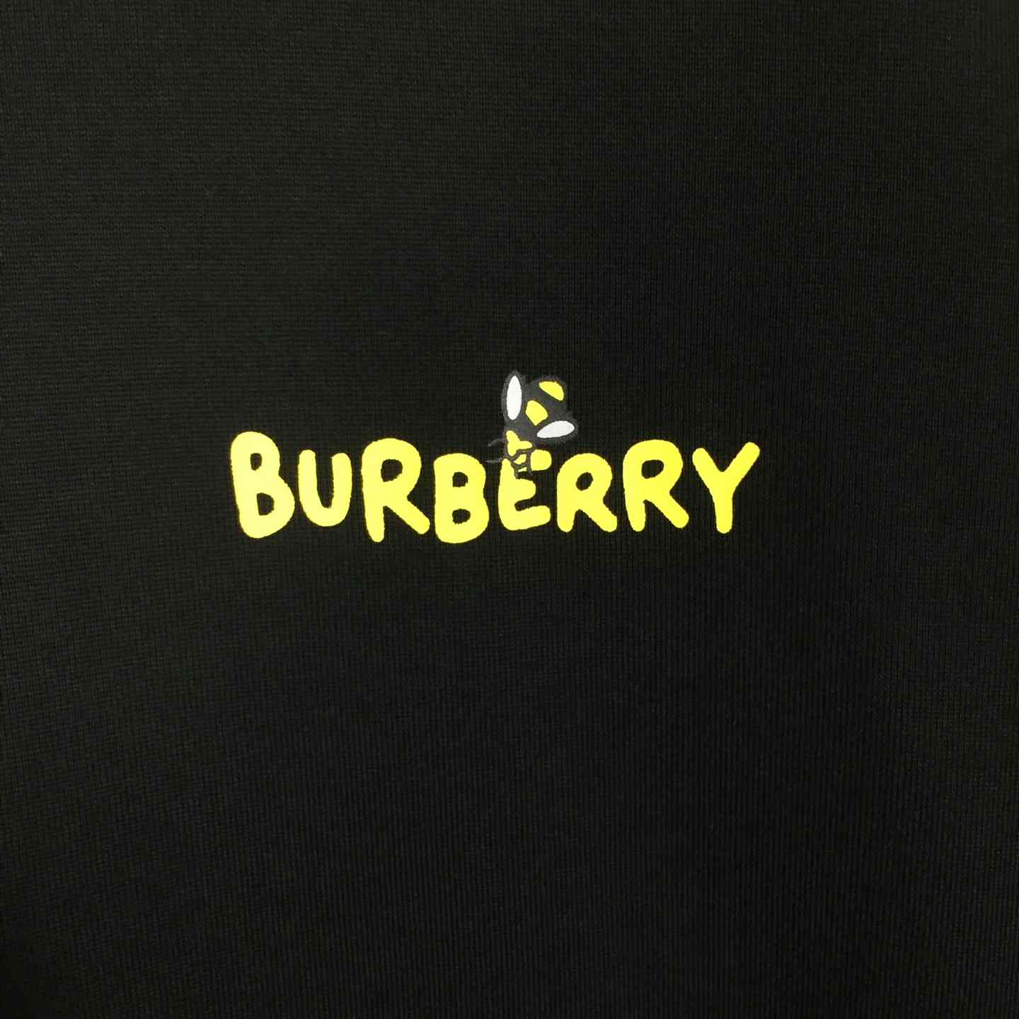 Dior T-shirt With Bee Print - DesignerGu