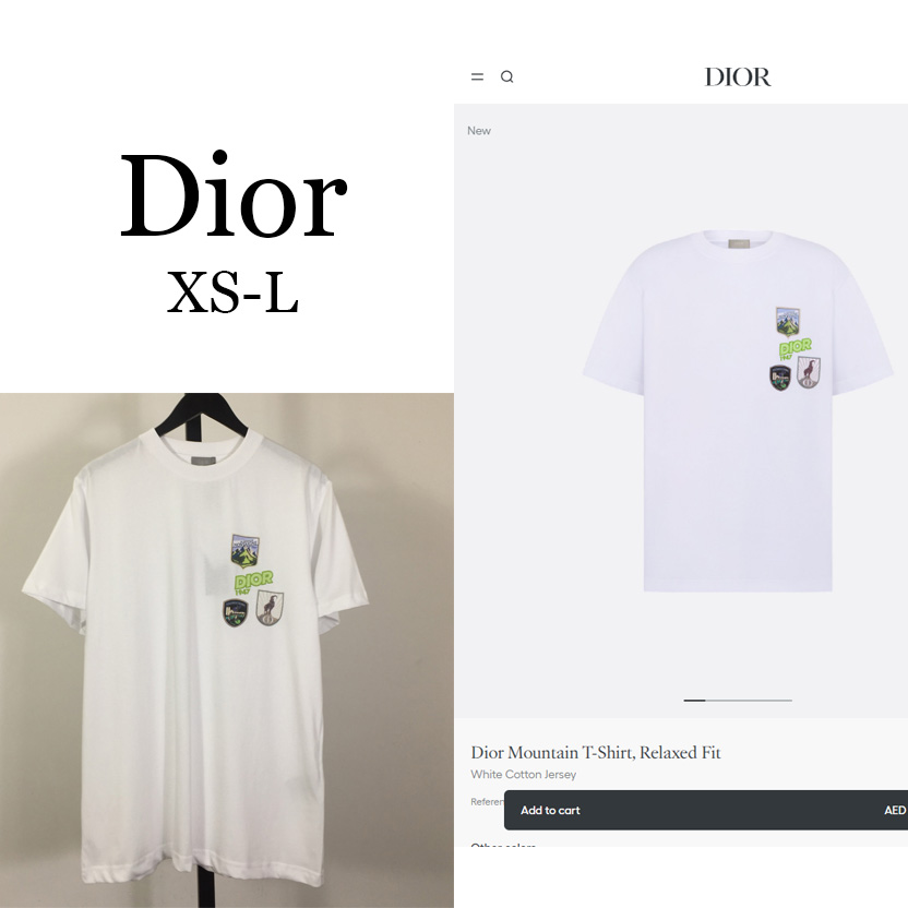 Dior Mountain T-Shirt, Relaxed Fit - DesignerGu