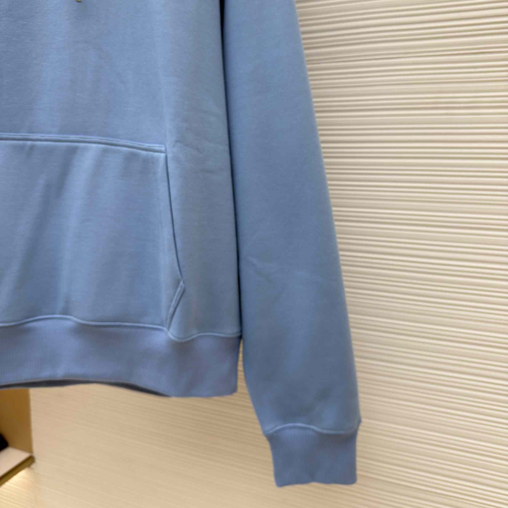 Dior CD Icon Cotton Hooded Sweatshirt - DesignerGu