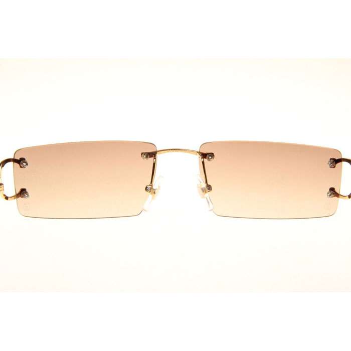 Cartier CT 4193830 Sunglasses In Gold Gradient Brown - DesignerGu