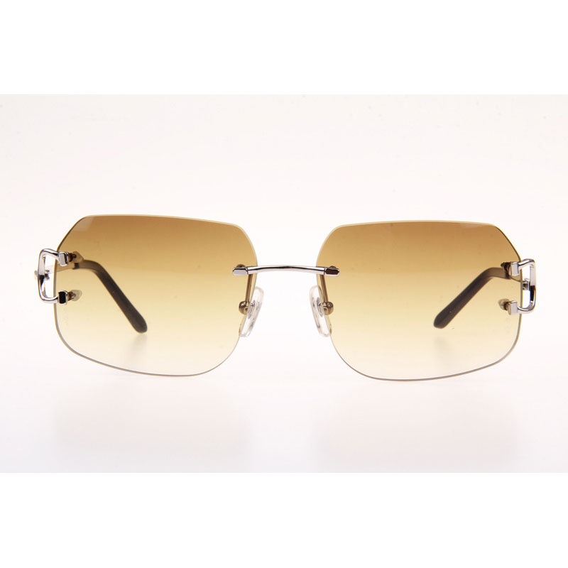Cartier CT 4193833 Sunglasses In Silver Gradient Brown - DesignerGu
