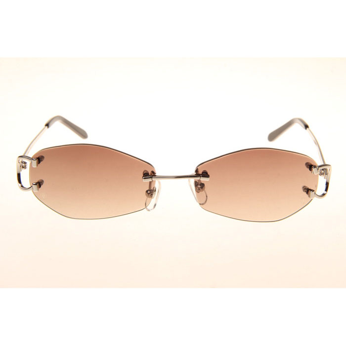Cartier CT 4193831 Sunglasses In Silver Gradient Brown - DesignerGu