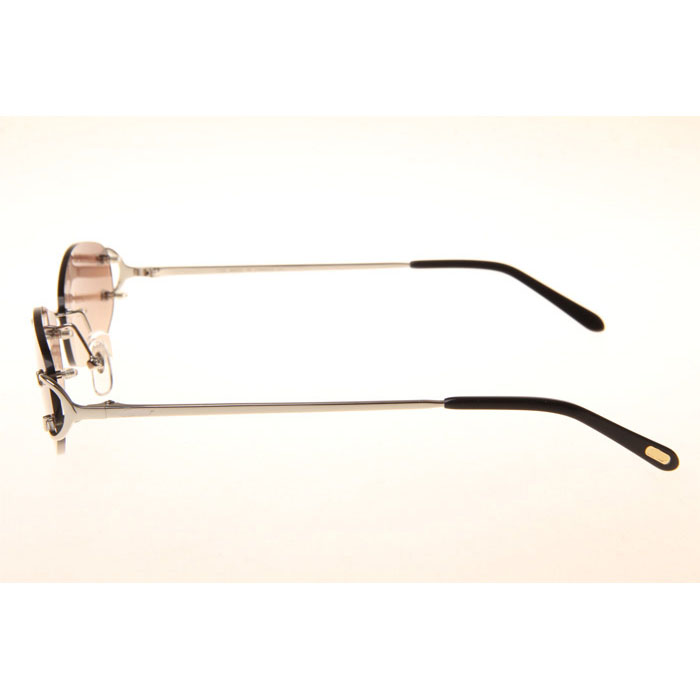 Cartier CT 4193831 Sunglasses In Silver Gradient Brown - DesignerGu