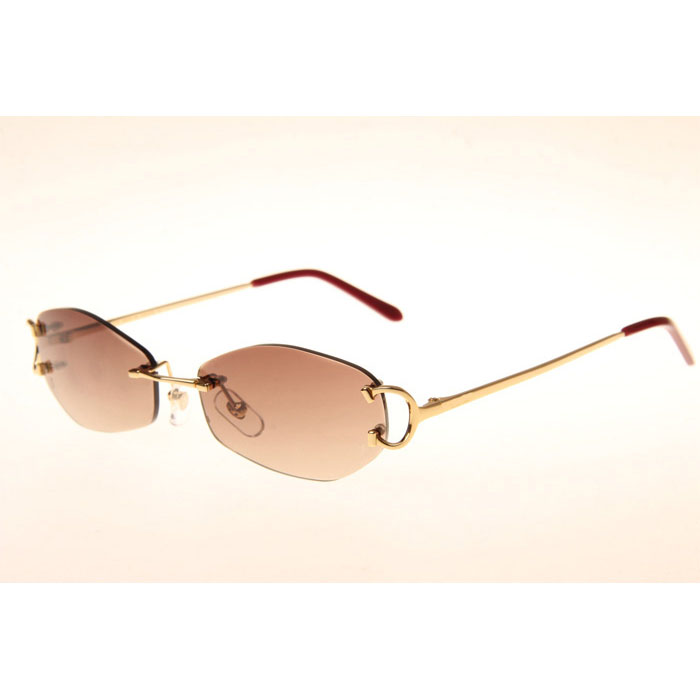 Cartier CT 4193831 Sunglasses In Gold Gradient Brown - DesignerGu
