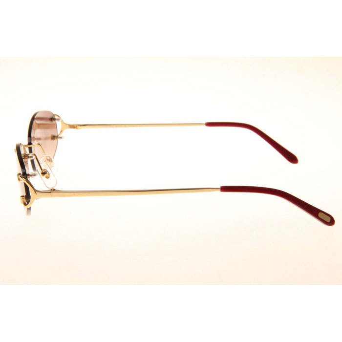 Cartier CT 4193831 Sunglasses In Gold Gradient Brown - DesignerGu