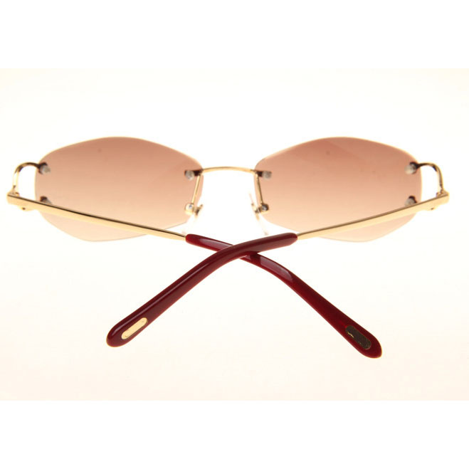 Cartier CT 4193831 Sunglasses In Gold Gradient Brown - DesignerGu