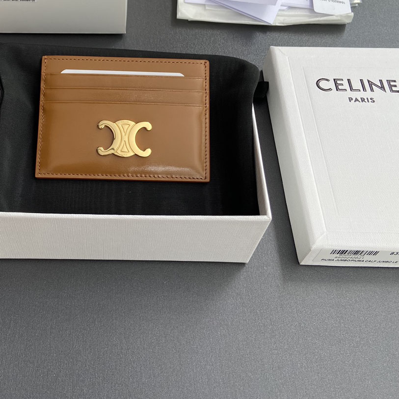 Celine Card Holder Triomphe In Shiny Calfskin  - DesignerGu