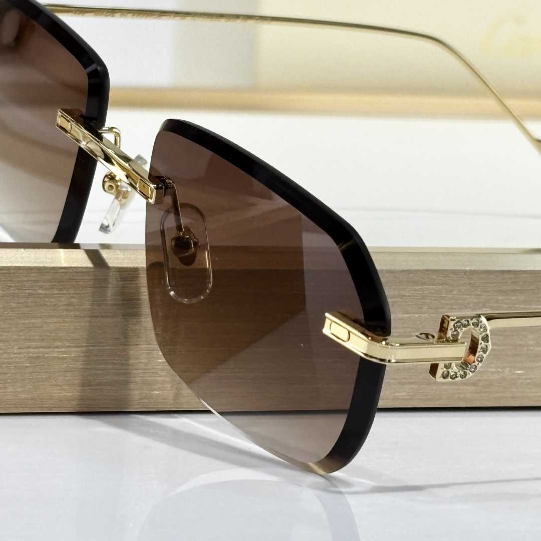 Cartier  CT01130 Sunglasses    - DesignerGu