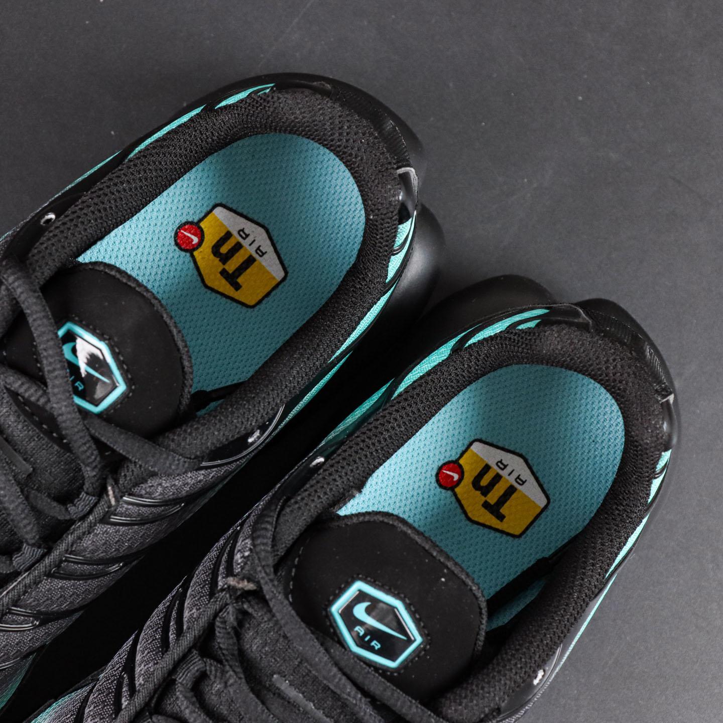 Nike Air Max Plus 'Black Dusty Cactus'  DM0032-016 - DesignerGu
