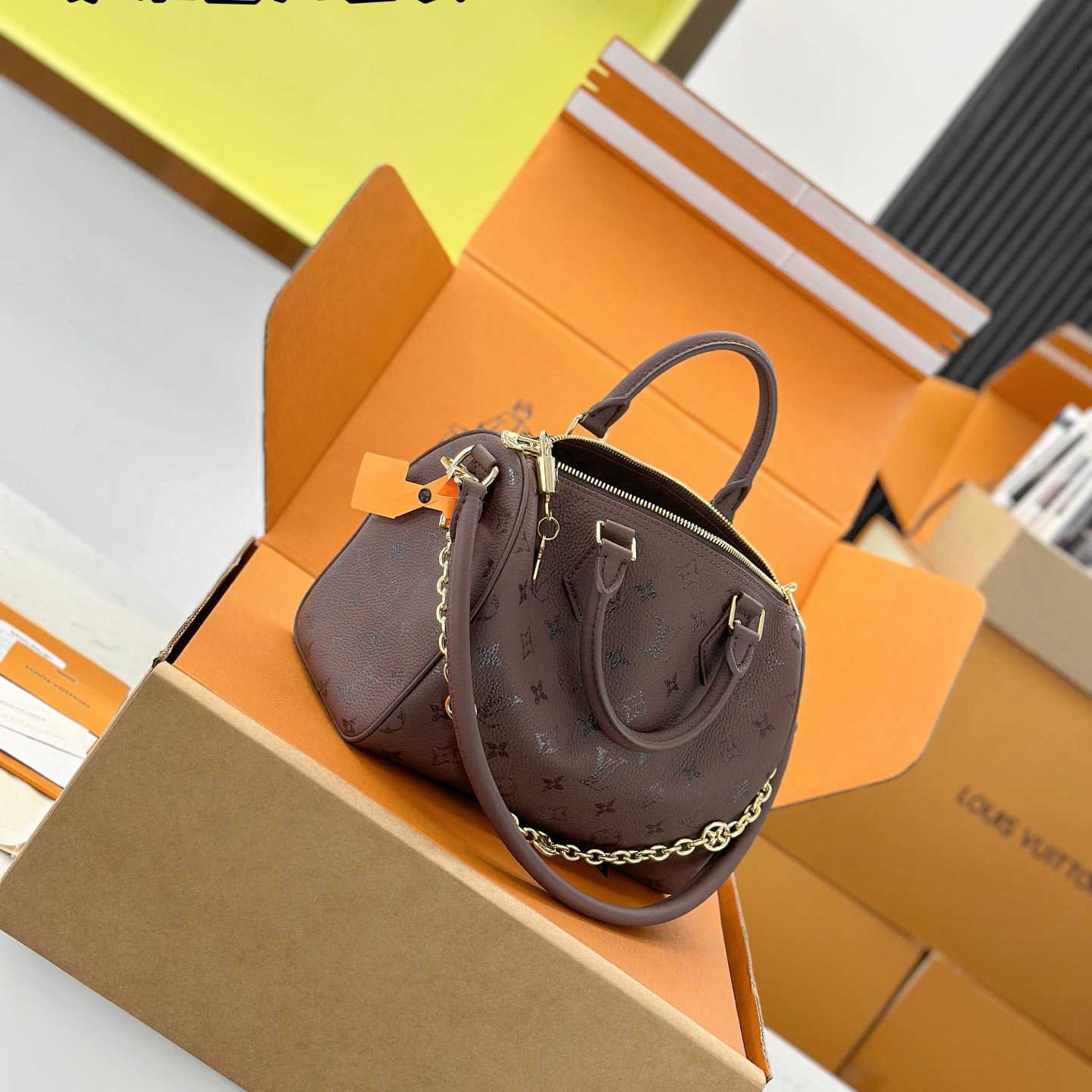 Louis Vuitton Speedy Bandoulière 25 M26691 - DesignerGu