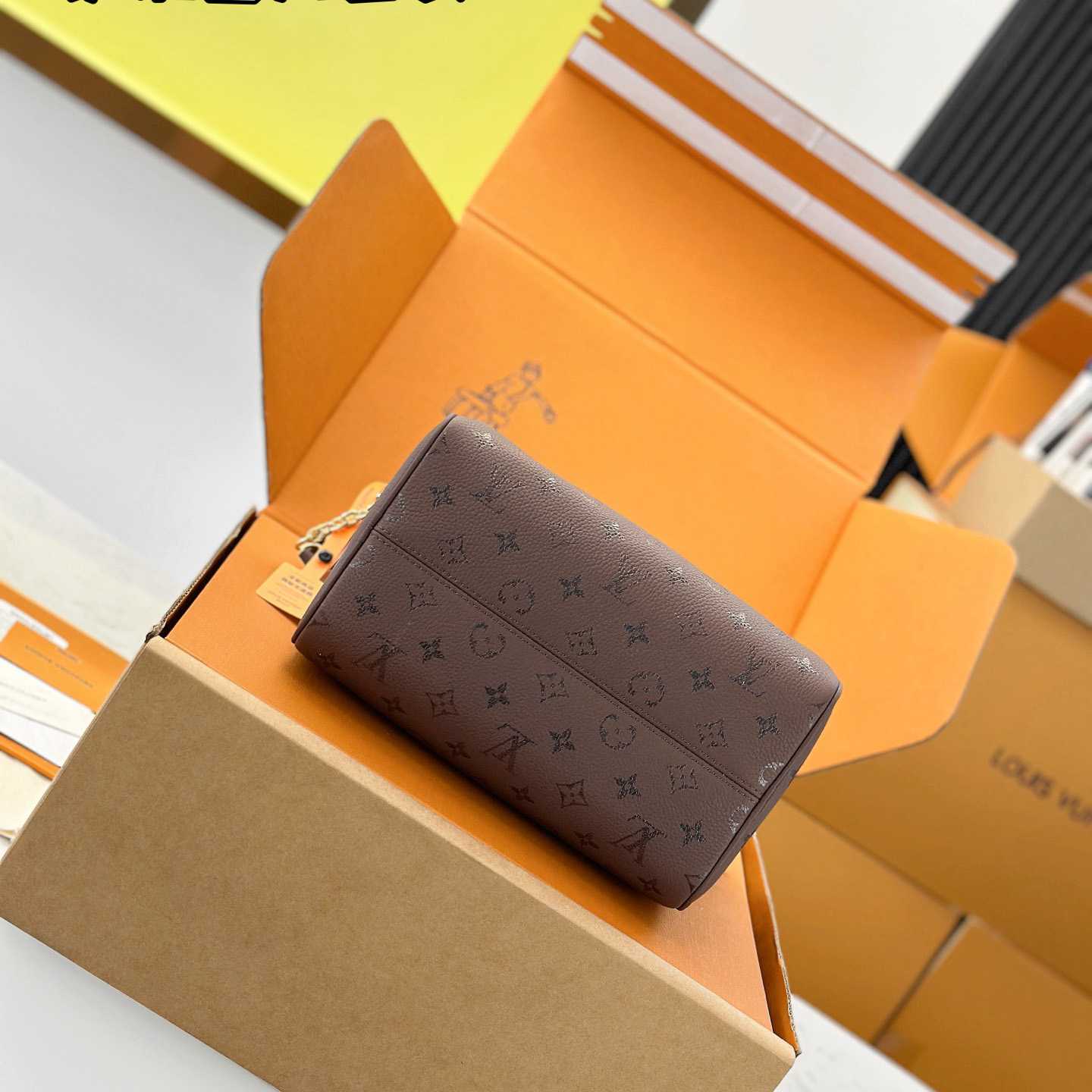Louis Vuitton Speedy Bandoulière 25 M26691 - DesignerGu
