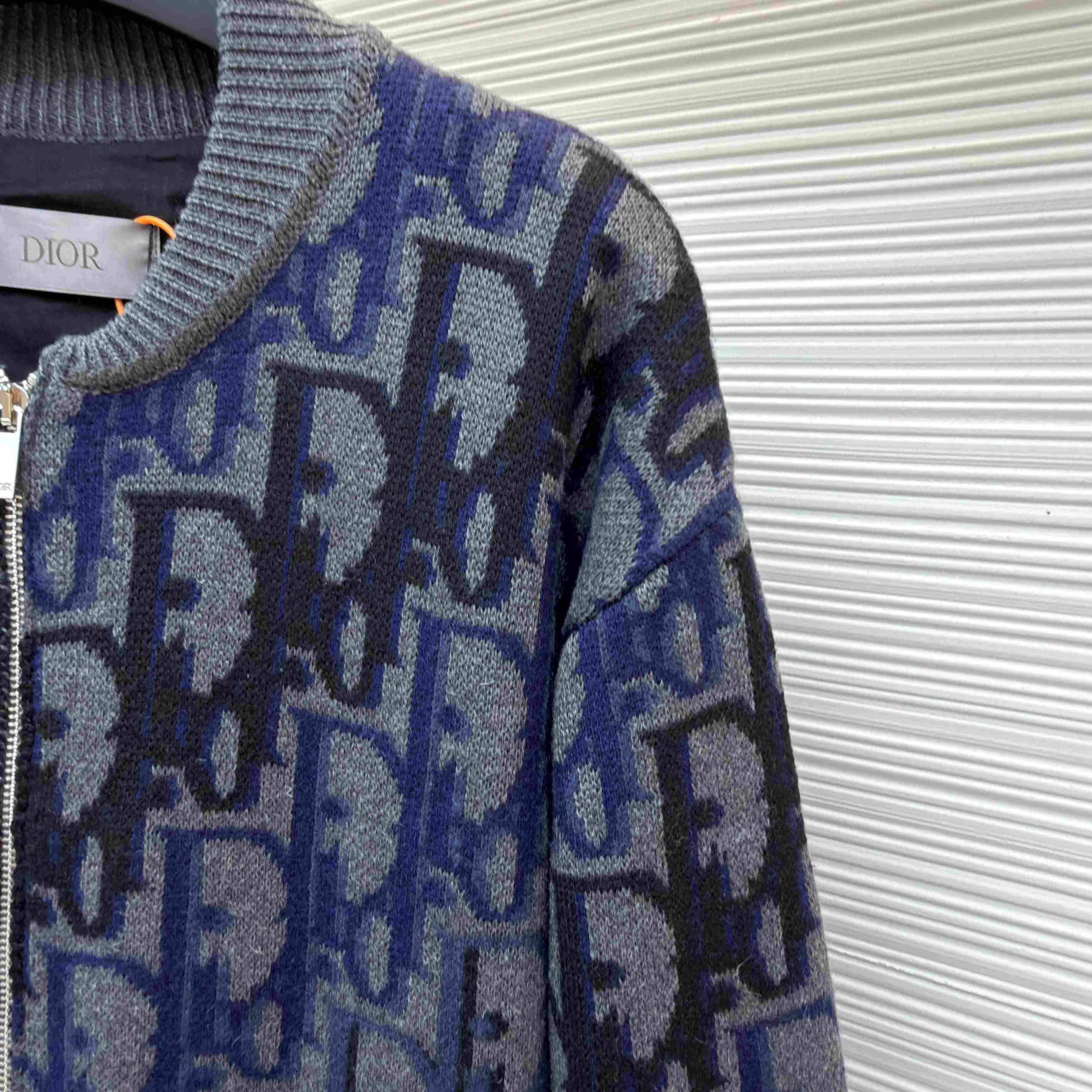 Dior Oblique Blouson Jacket - DesignerGu