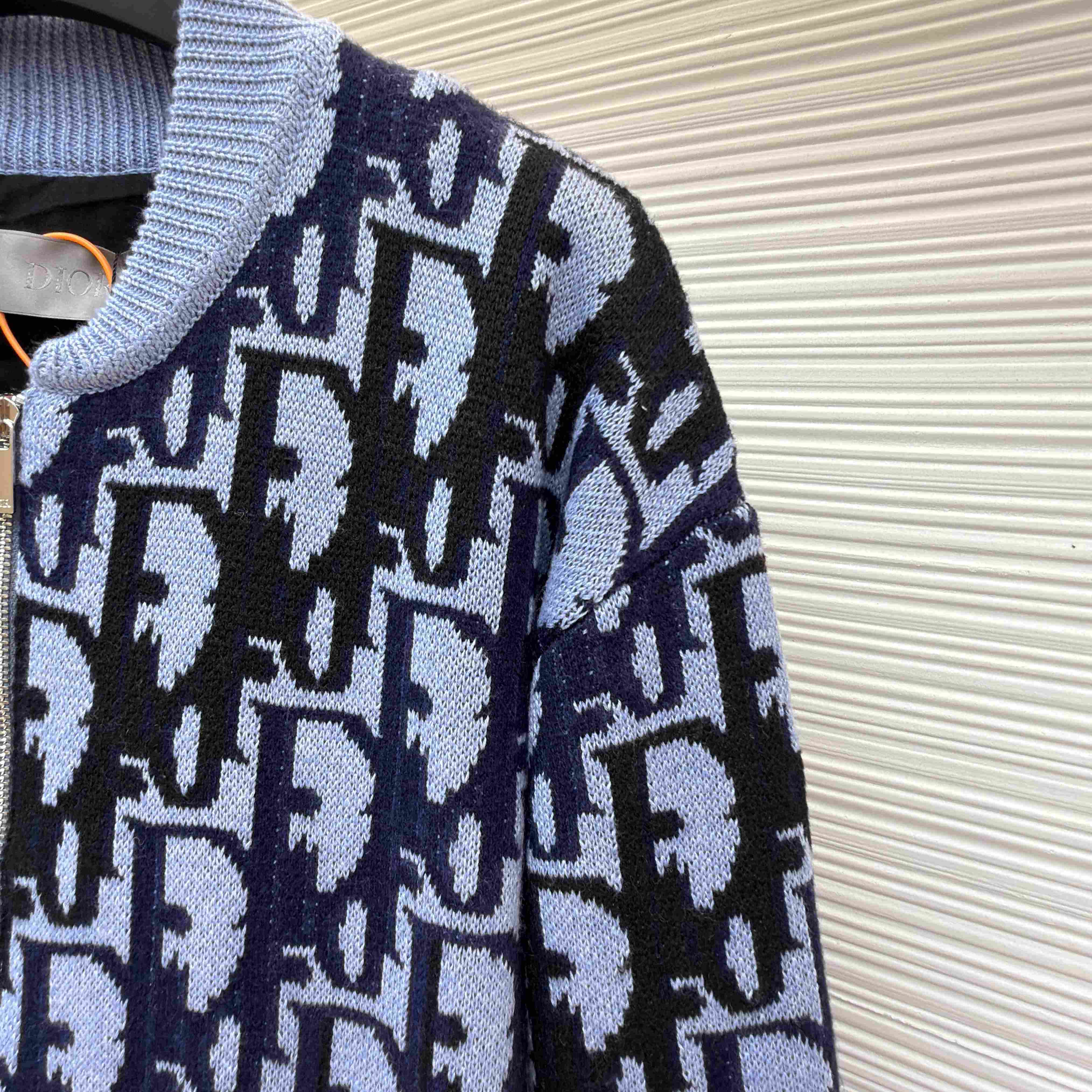 Dior Oblique Blouson Jacket - DesignerGu