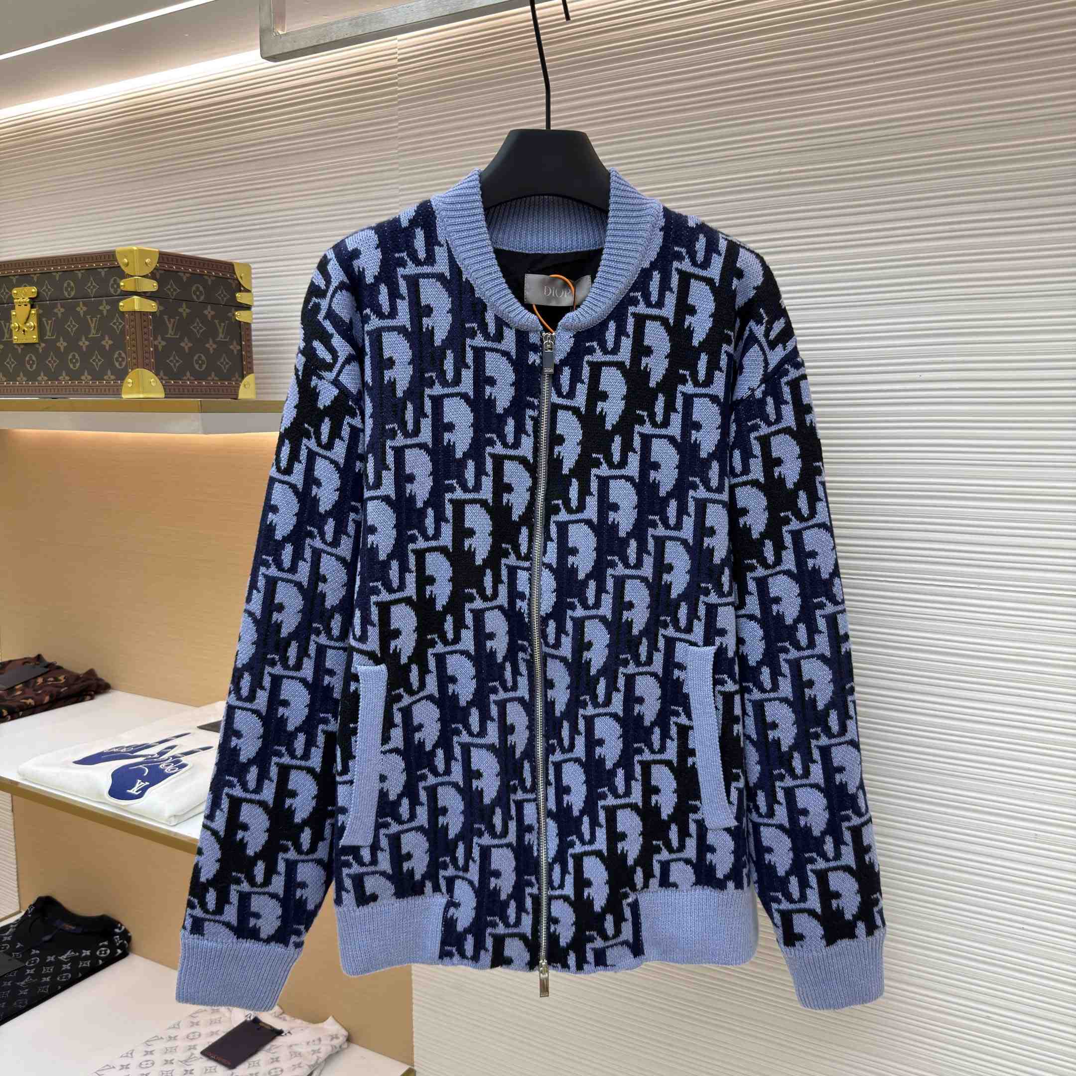 Dior Oblique Blouson Jacket - DesignerGu