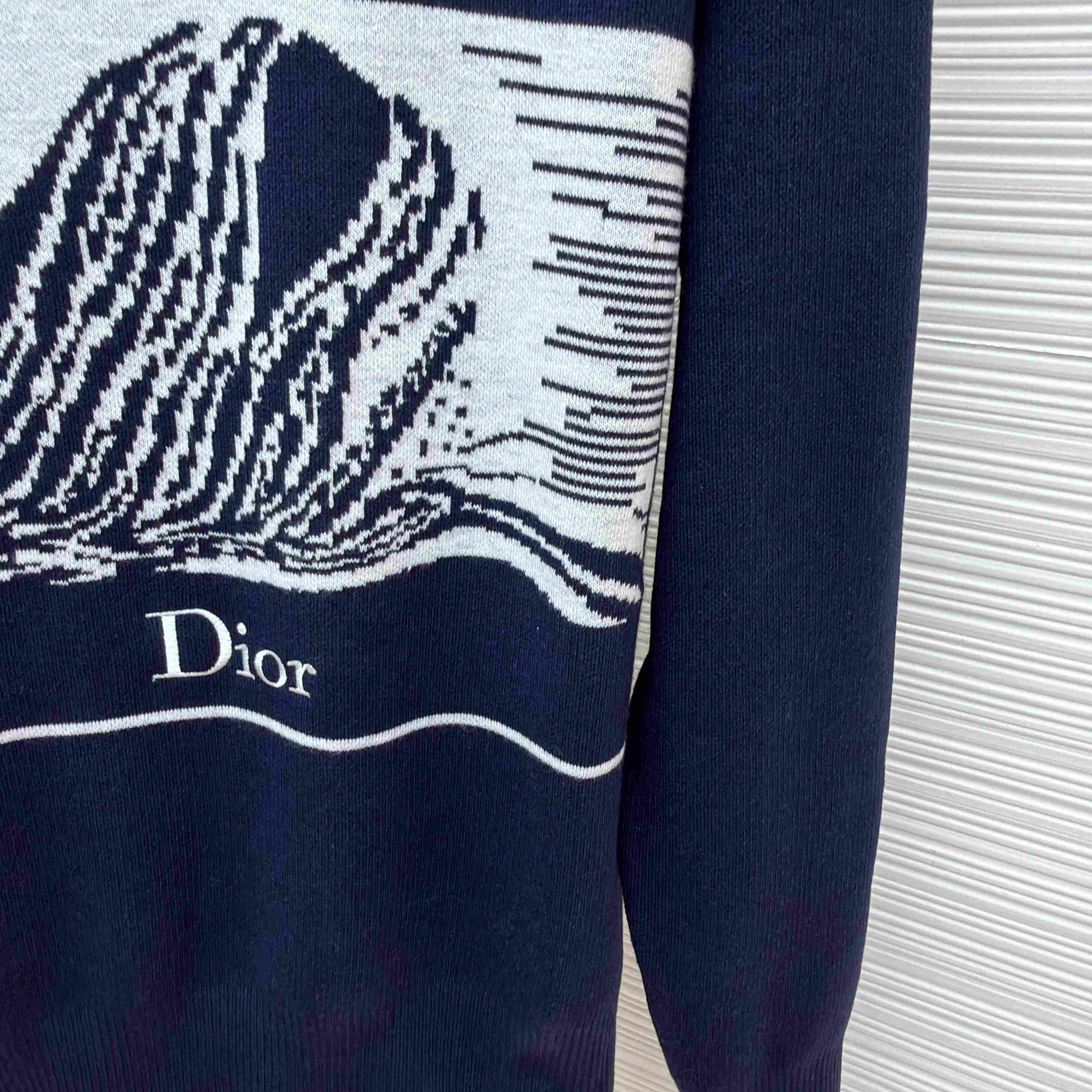 Dior Sweater with Book Cover Embroidery and Intarsia, Regular Fit - DesignerGu
