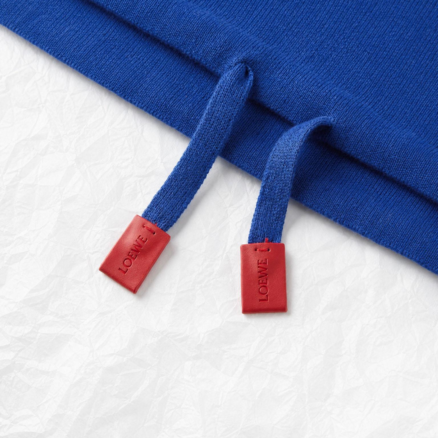 LOEWE Sweater In Cotton - DesignerGu